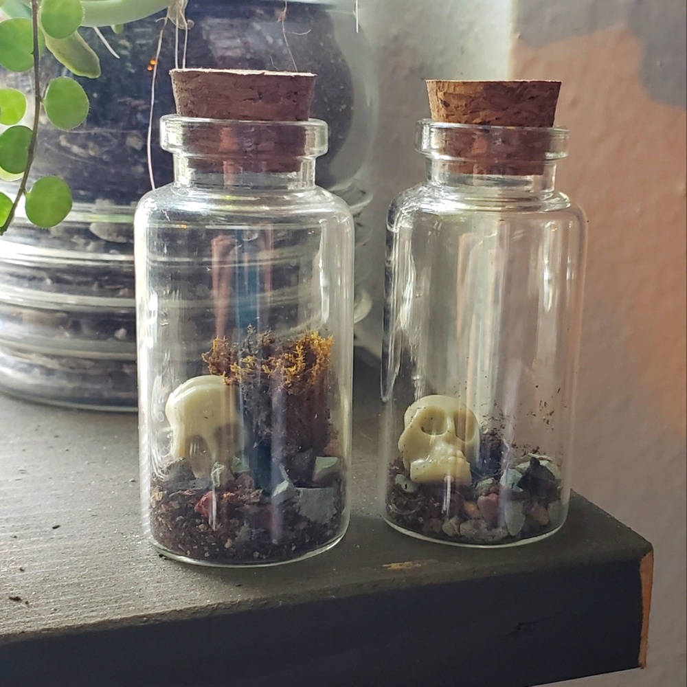 Halloween Mini *Skull* Terrarium (25 ml)